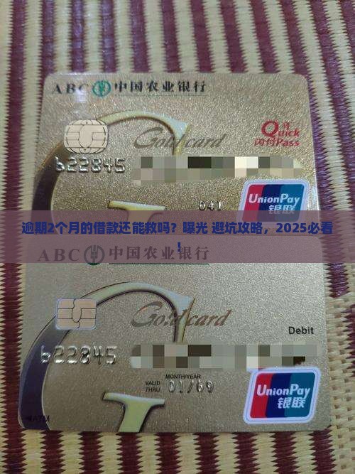 逾期2个月的借款怎么处理