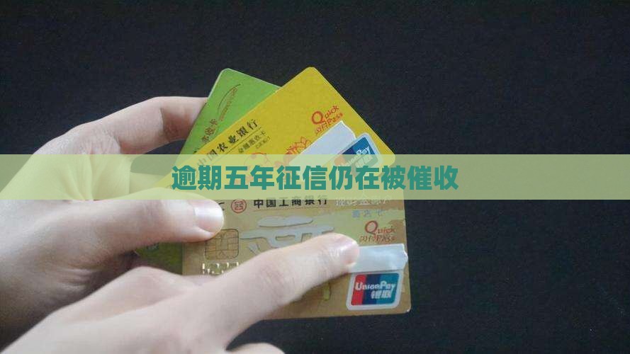 逾期五年征信仍在被催收