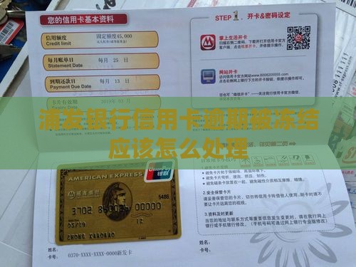 浦发银行信用卡逾期被冻结应该怎么处理