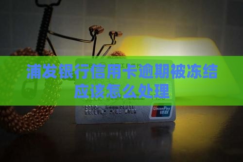 浦发银行信用卡逾期被冻结应该怎么处理
