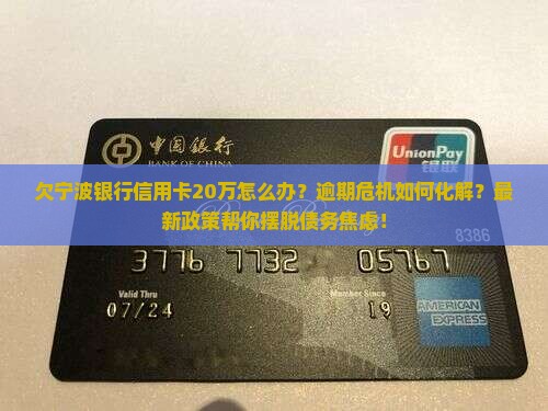 欠宁波银行信用卡20万怎么办