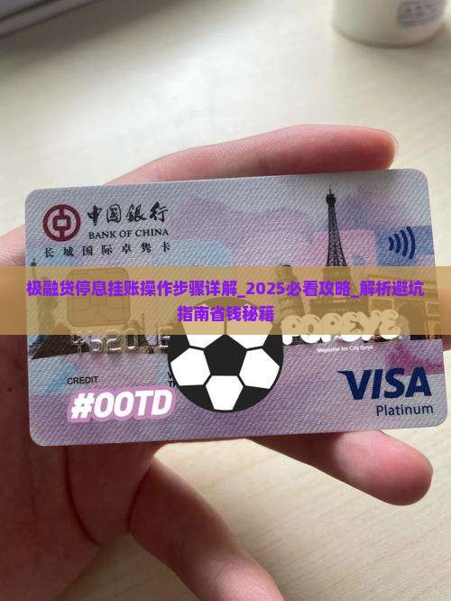极融贷停息挂账操作步骤详解