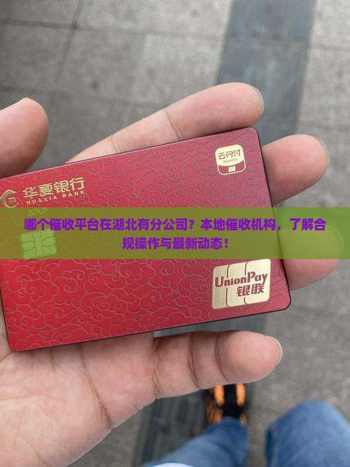 哪个催收平台在湖北有分公司