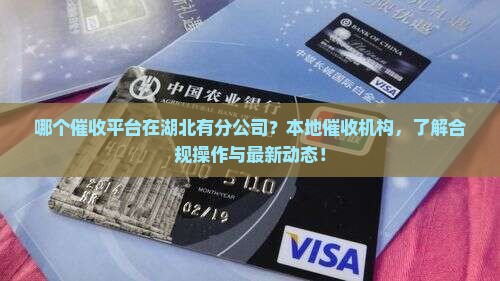 哪个催收平台在湖北有分公司