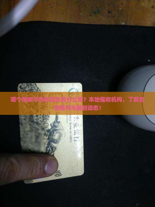 哪个催收平台在湖北有分公司