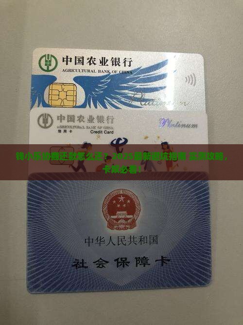 钱小乐协商还款怎么还