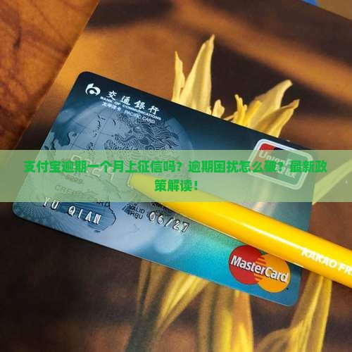 支付宝逾期一个月上征信么如何解决 支付宝逾期一个月上征信么如何解决