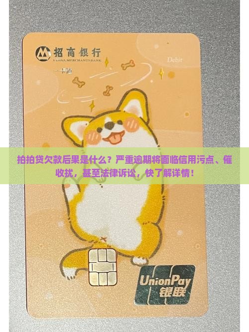 拍拍贷欠款后果是什么