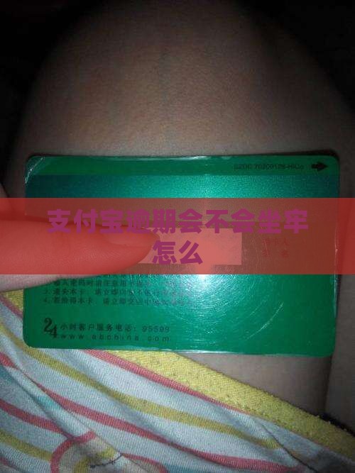 支付宝逾期会不会坐牢怎么办理