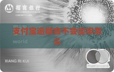 支付宝逾期会不会坐牢怎么办理