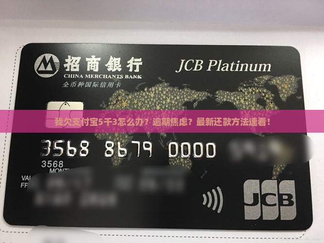 我欠支付宝5千3怎么办还款方法有哪些