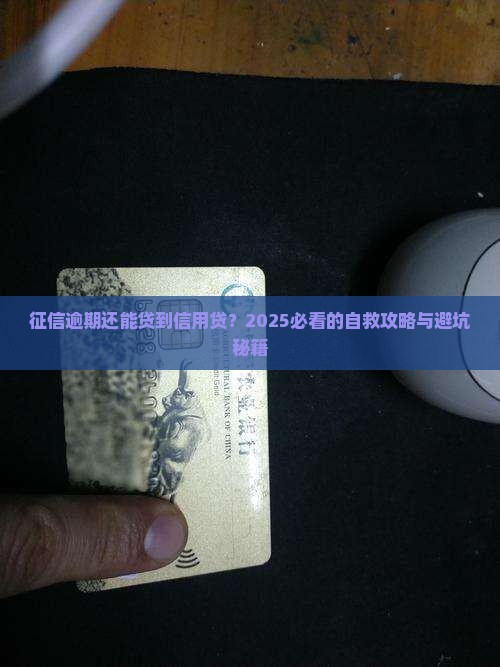 征信逾期如何信用贷