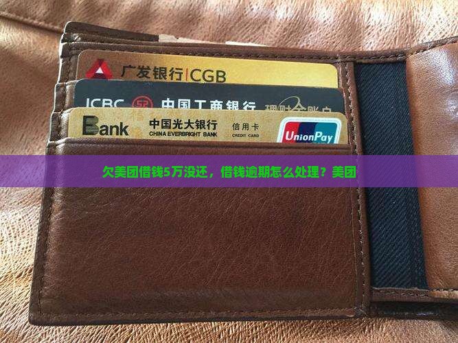欠美团借钱5万没还