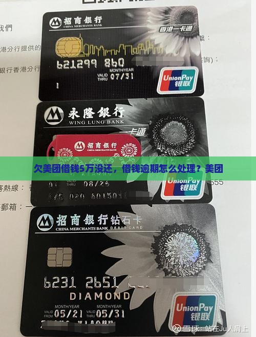 欠美团借钱5万没还