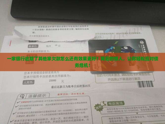 一家银行逾期了其他家欠款怎么还有效果更好