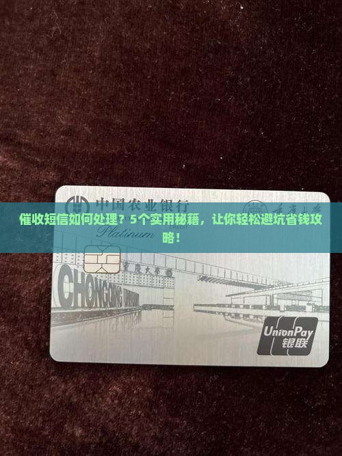 催收短信如何处理