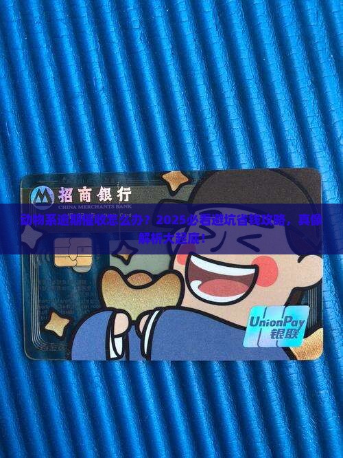 动物系逾期催收怎么处理