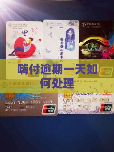 嗨付逾期一天怎么办