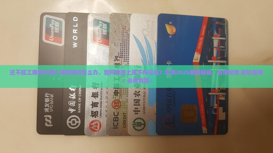 还不起工商银行随心贷的钱该怎么办