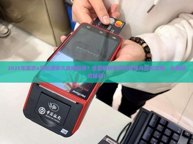 惠农e贷如果逾期了多久起诉的解决办法是什么