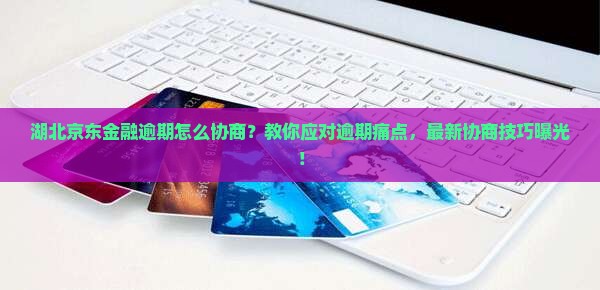 湖北京东金融逾期怎么协商