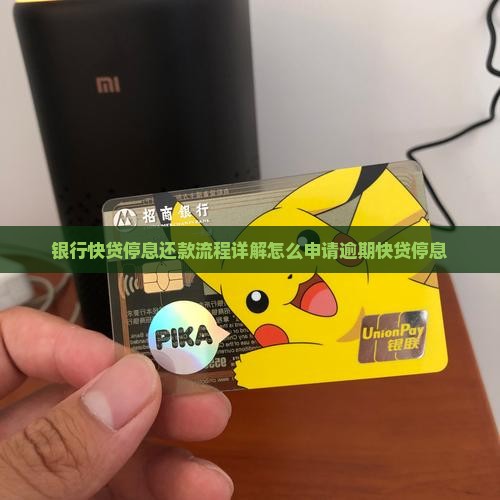 银行快贷停息还款流程详解