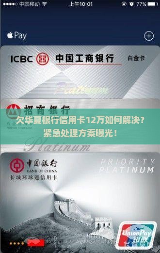 欠华夏银行信用卡12万如何解决