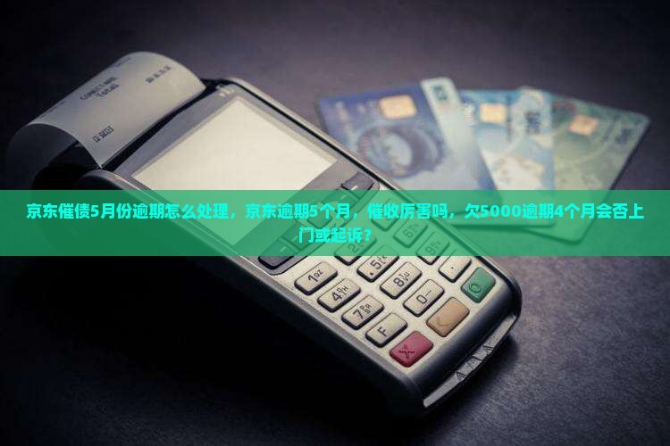 京东白条催债5月份逾期怎么处理