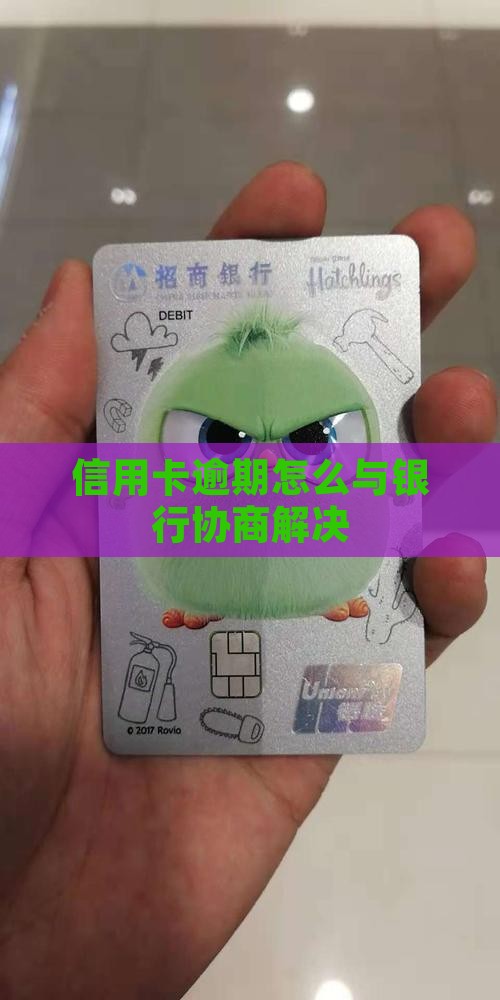信用卡逾期催收的情况下怎么协商解决