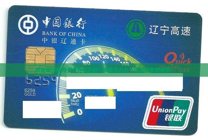 农业银行信用卡个性化还款