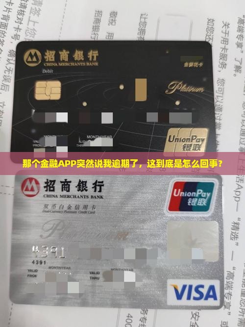 你我金融发信息说我逾期了