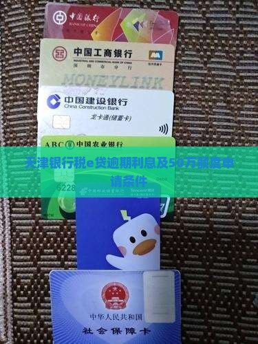 天津银行税e贷逾期