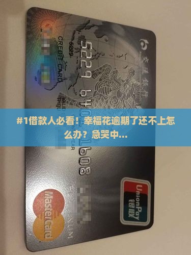 幸福花逾期了怎么还款更合适