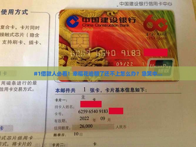 幸福花逾期了怎么还款更合适