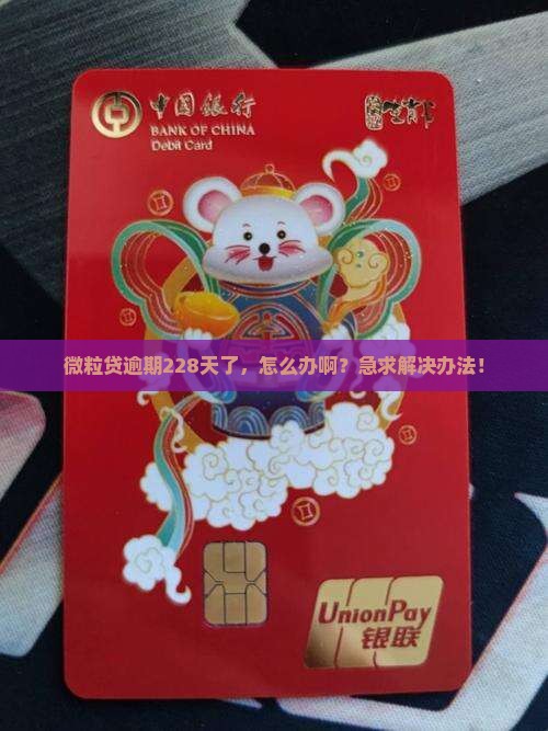微粒贷逾期228天如何解决