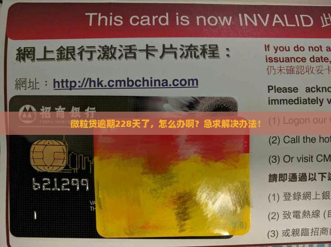 微粒贷逾期228天如何解决