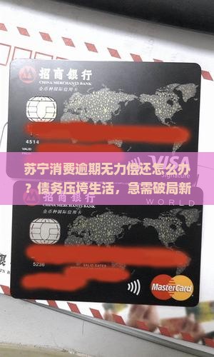 苏宁消费逾期无力偿还该怎么办