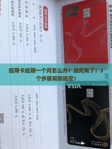 浦发卡逾期一个月怎么办才好