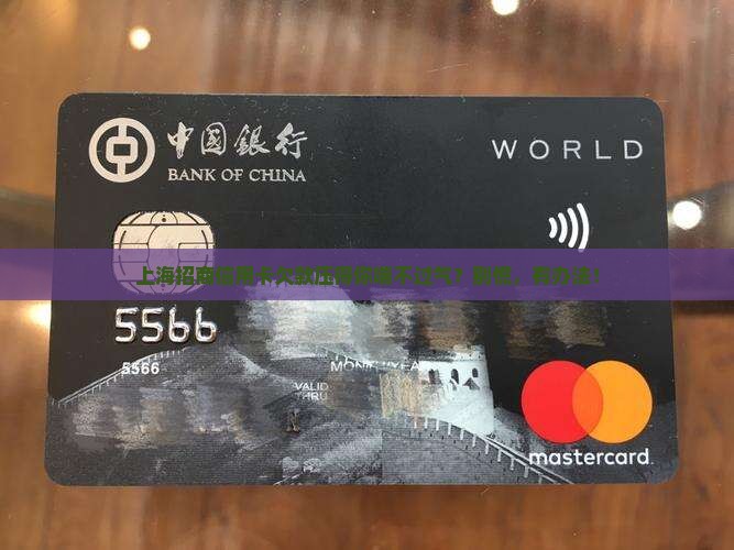 上海招商信用卡欠款如何解决