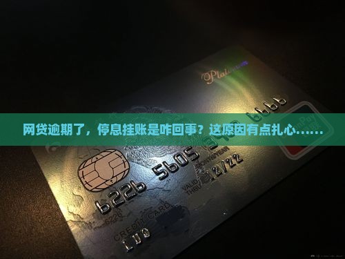 网贷逾期如何停息挂账的原因