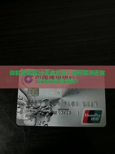微粒贷逾期20天的后果怎么处理