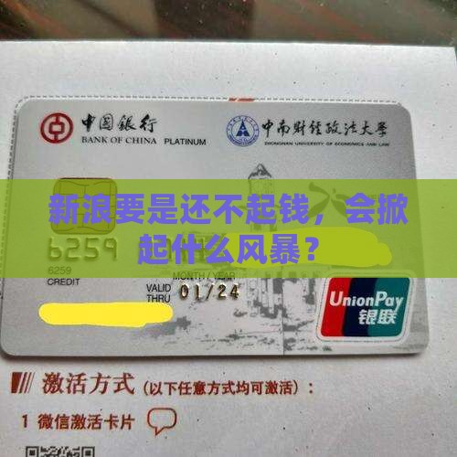 新浪借钱还不上会怎么样