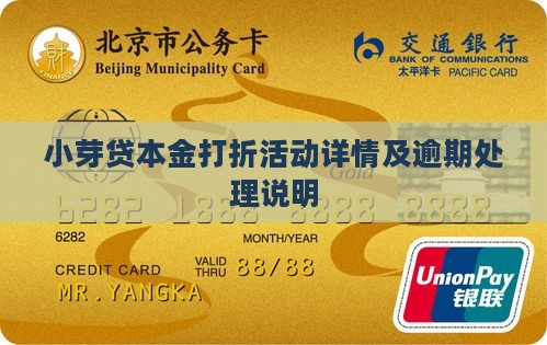 小芽贷本金打折活动详情