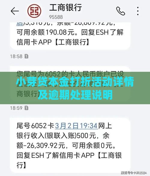 小芽贷本金打折活动详情