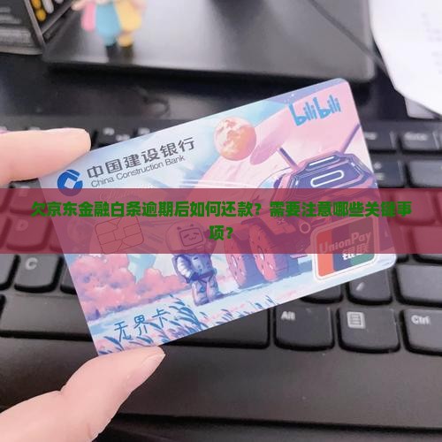 欠京东金融白条逾期怎么还钱要注意什么