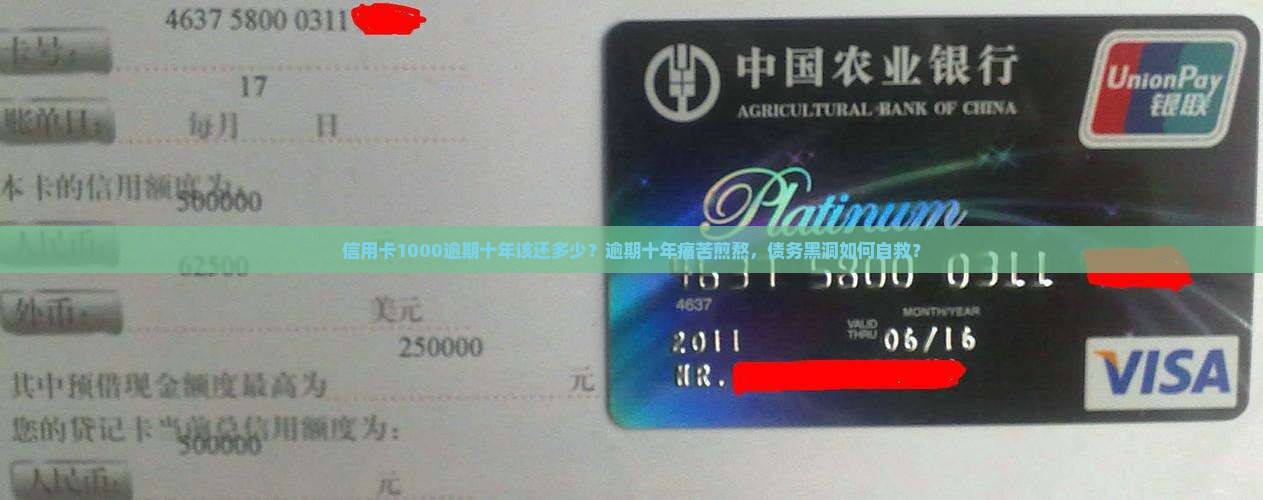 信用卡1000逾期十年该还多少