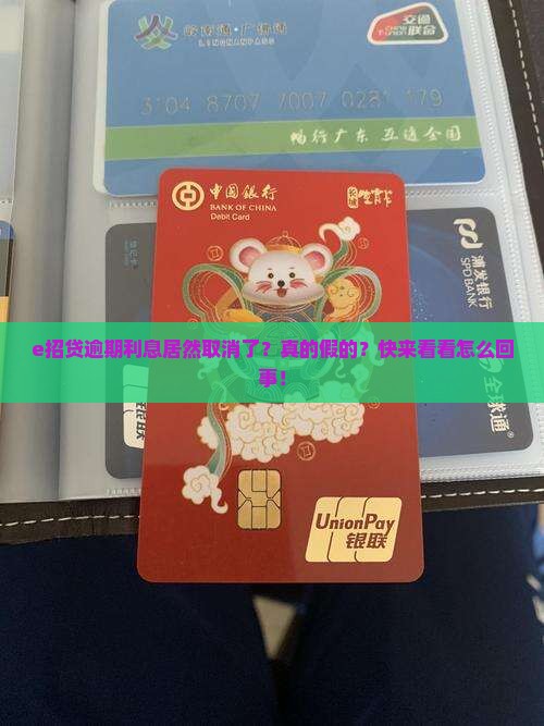 e招贷逾期未还款利息取消了