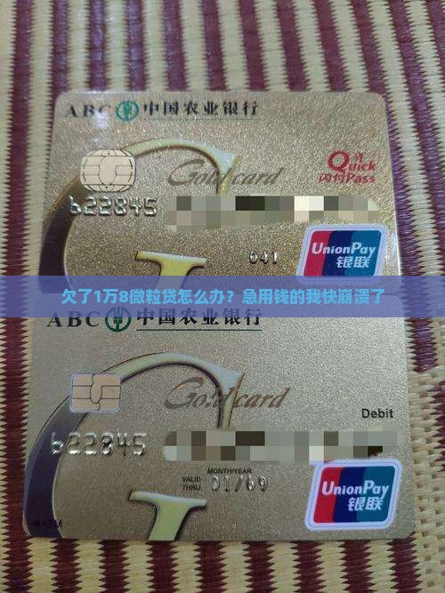微粒贷欠一万八怎么办解决方法
