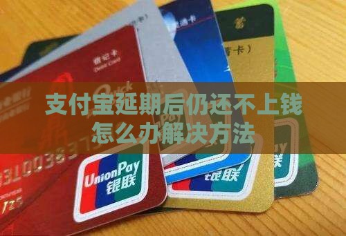 支付宝延期后仍还不上钱怎么办
