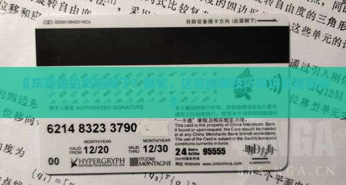 东莞拍拍贷逾期还款协商技巧